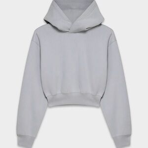 ARITZIA Cropped Hoodie